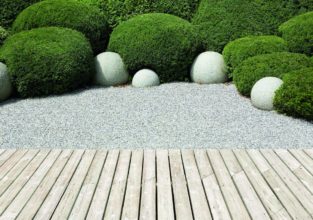 AdobeStock_49879726 (1)