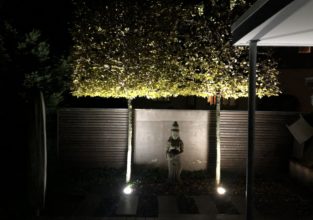 Licht setzt das zusammenspiel von Skulptur, Sichtschutz und Spalierhecke in Szene
